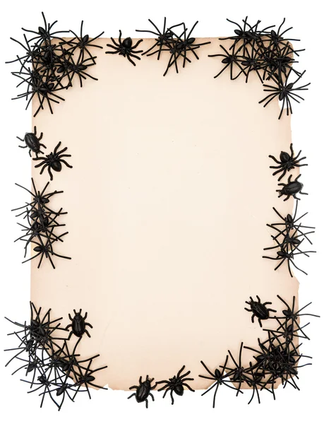 Fond en papier avec araignée noire — Photo
