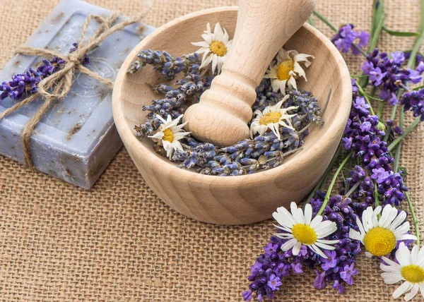 Mortar with fresh lavender and chamomile — Stock Photo, Image