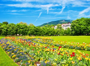 renkli çiçekler ve mavi gökyüzü ile peyzaj