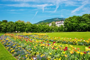 renkli çiçekler ve mavi gökyüzü ile peyzaj
