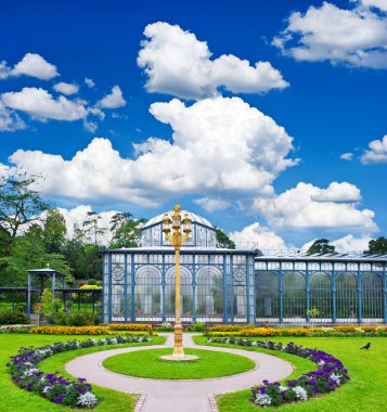 renkli çiçekler ve mavi gökyüzü manzara