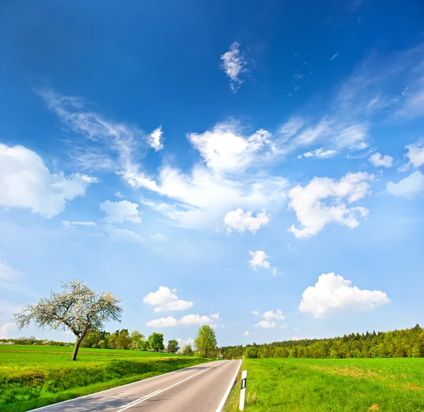田舎。緑の野原と青い空と風景します。 — ストック写真