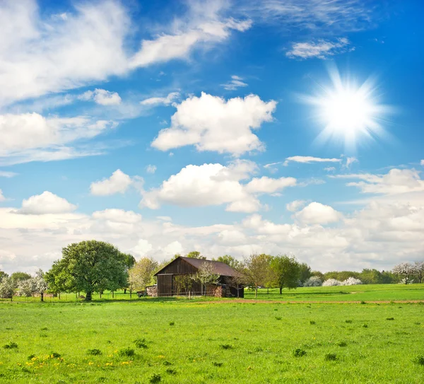 Campo. paisagem europeia — Fotografia de Stock