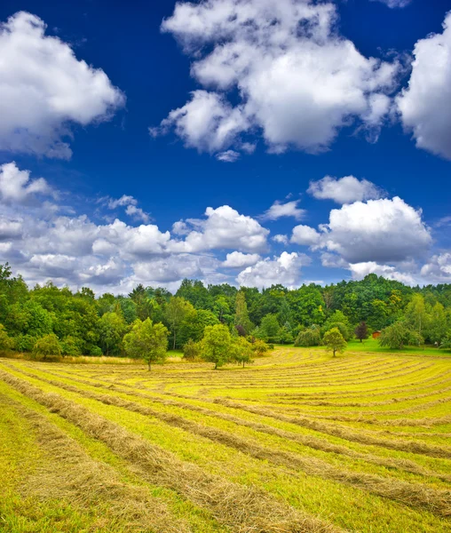 Land landschap. Hay in herfst veld onder blauw bewolkte hemel — Stockfoto