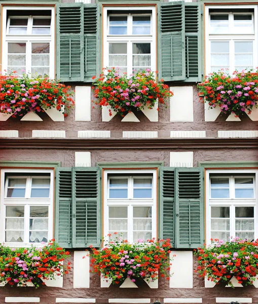 Windows with flower decoration in textured wooden wall — Stock Photo, Image