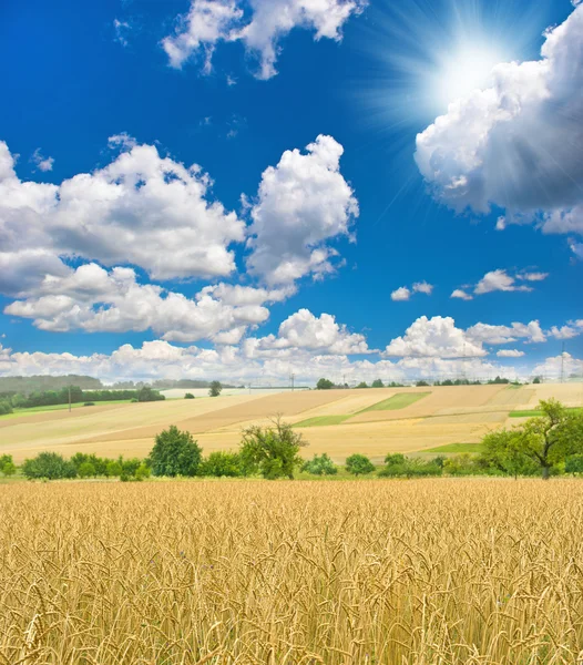 Höstlandskap med vete fält och solig blå himmel — Stockfoto