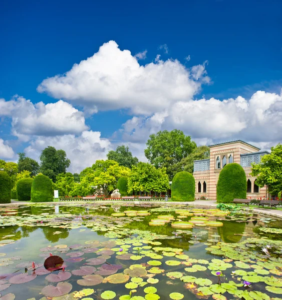 Formální zahrady. krásný rybník ve veřejném parku. — Stock fotografie