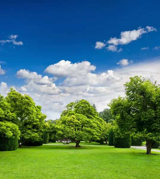 Krásný park stromy nad modrou oblohu. formální zahrada — Stock fotografie