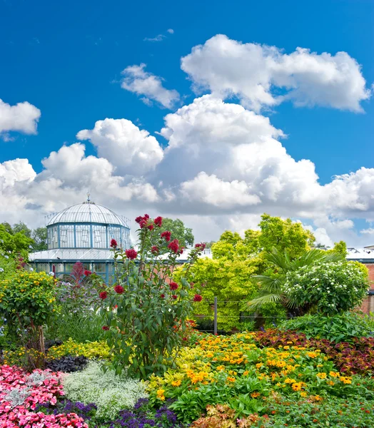 Paisagem com flores coloridas e céu azul — Fotografia de Stock