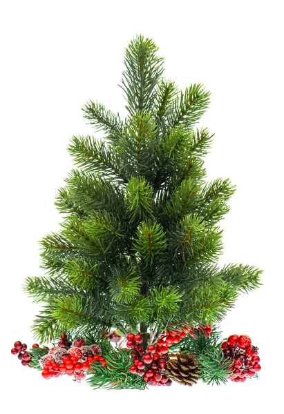 Evergreen christmas tree with red decoraton — Stock Photo, Image