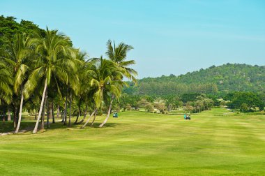 Golf Sahası. avuç içi yatay