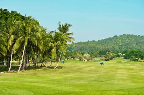 Golf course. palms landscape — Stock Photo, Image