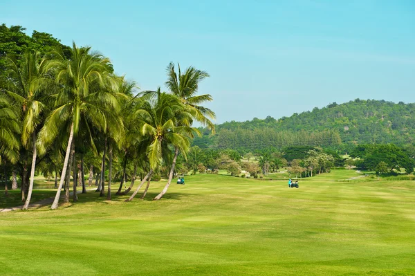 Golf course. palms landscape — Stock Photo, Image