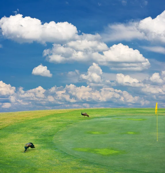 Campo de golfe paisagem — Fotografia de Stock