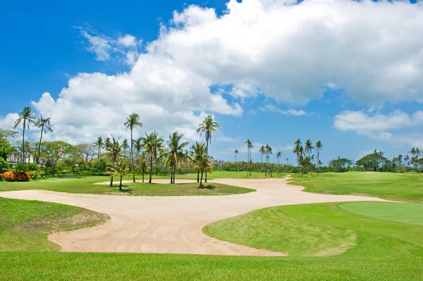 Hermoso campo de golf. trampa de arena y palmeras —  Fotos de Stock