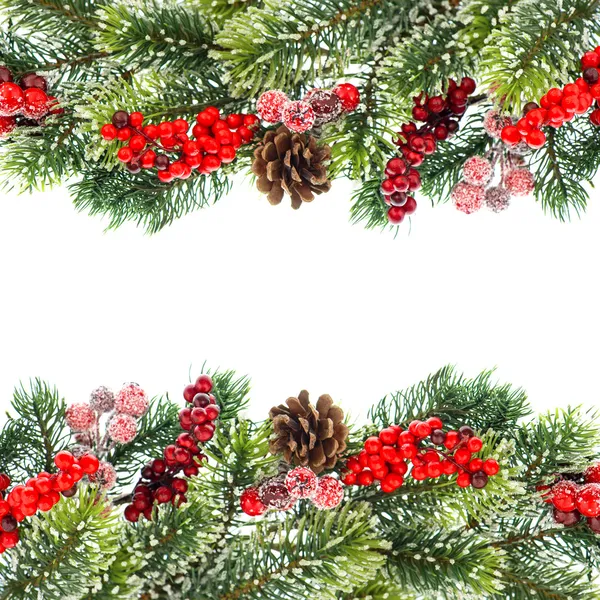 Christmas tree branch with red berrries — Stock Photo, Image