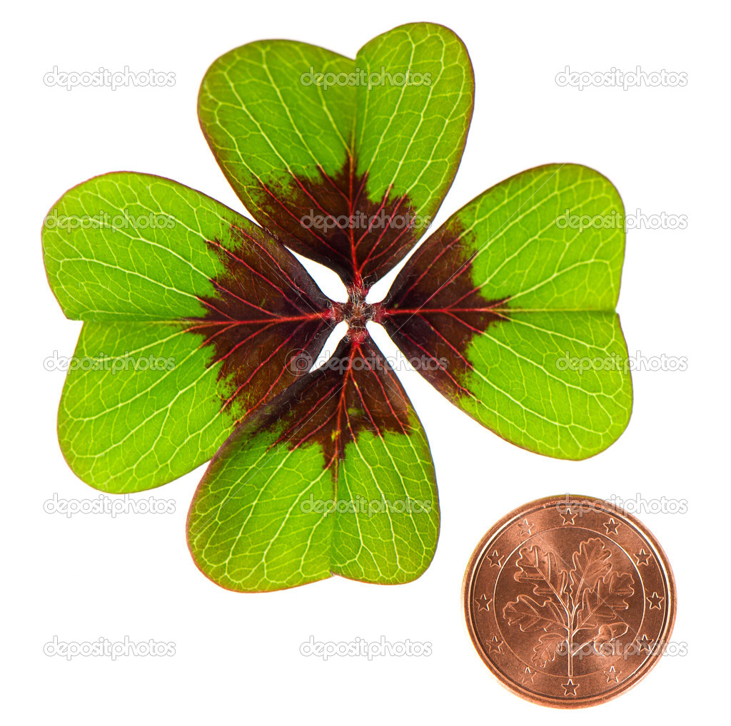 Coin and shamrock leaf on white