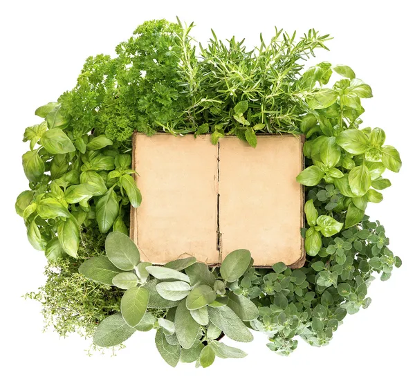 Variety fresh herbs and old recipe book — Stock Photo, Image