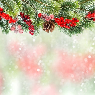 Kırmızı berrries ile Noel ağacı dalı