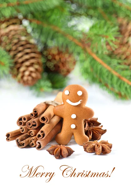 Smiling gingerbread man with christmas spices — Stock Photo, Image