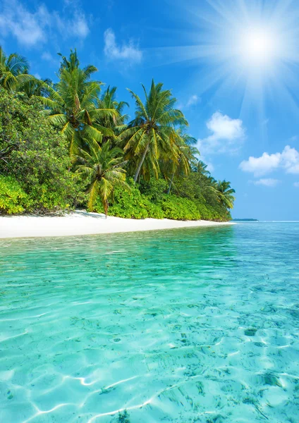 Tropical island beach with perfect sky — Stock Photo, Image