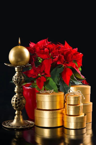 Roter Weihnachtsstern mit goldenen Geschenken auf schwarzem Grund — Stockfoto