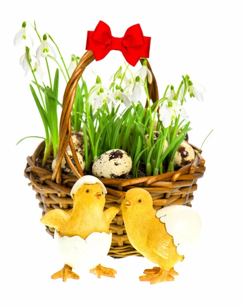 Easter composition with funny chicken — Stock Photo, Image