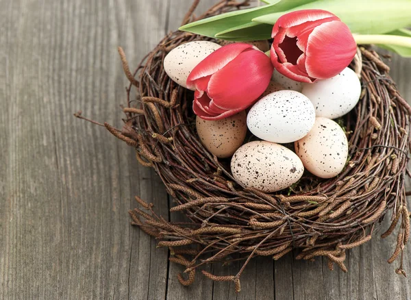 Birds eggs in nest with tulip flowers — Stock Photo, Image