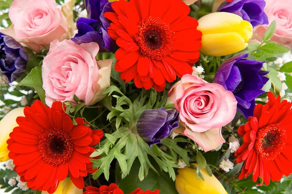 Closeup of colorful spring flowers — Stock Photo, Image