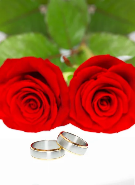 Wedding rings and red roses — Stock Photo, Image