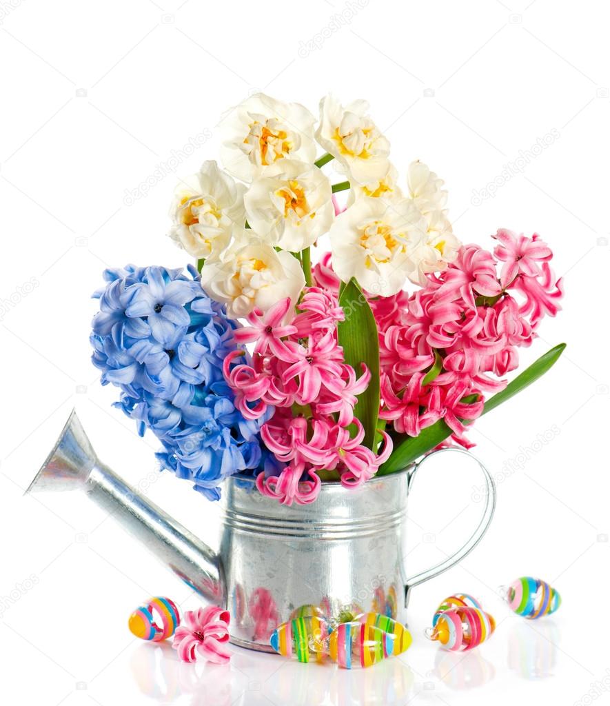 fresh hyacinth and narcissus flowers with easter eggs
