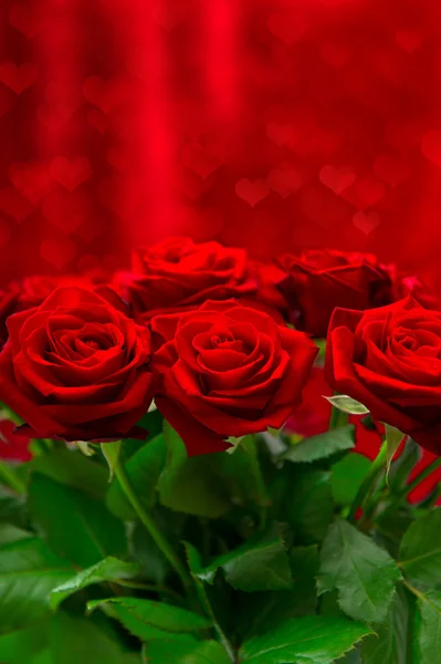 Schöner Strauß roter Rosen — Stockfoto