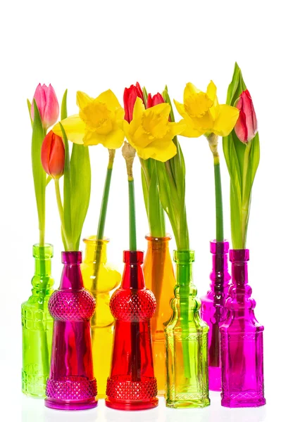 Tulip and narcissus flowers in colorful vases — Stock Photo, Image