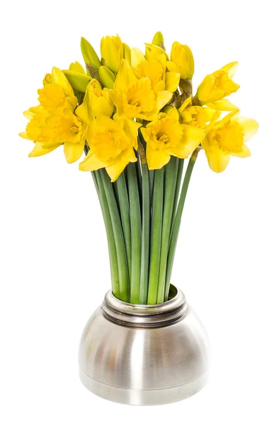 Flores de narciso de primavera frescas em um vaso — Fotografia de Stock