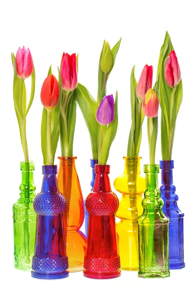 Tulip flowers in colorful glass vases — Stock Photo, Image