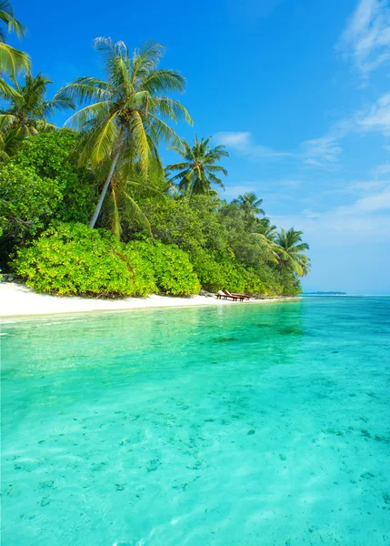 Landscape of tropical island beach with palms Stock Image