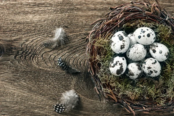 Vogels eieren in nest over houten achtergrond — Stockfoto