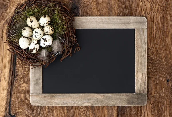 Birds eggs in nest and vintage blackboard — Stok fotoğraf