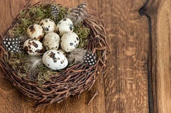 Birds eggs in nest over wooden background — Stock Photo, Image