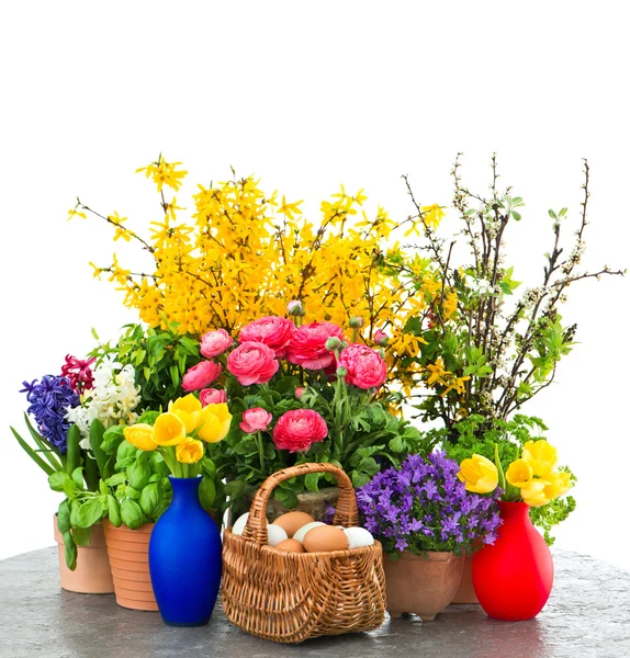 Colorati fiori primaverili e uova di Pasqua — Foto Stock