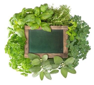 blank green blackboard with variety fresh herbs clipart