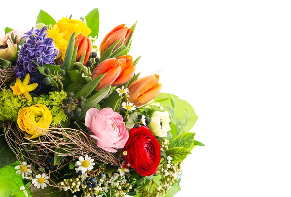 Närbild av färgglada vårblommor — Stockfoto