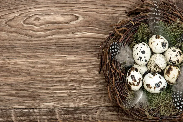 Ovos de pássaros no ninho em fundo de madeira rústica — Fotografia de Stock