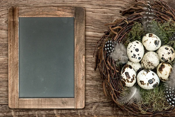 Vogels eieren in nest op houten achtergrond met blackboard — Stockfoto