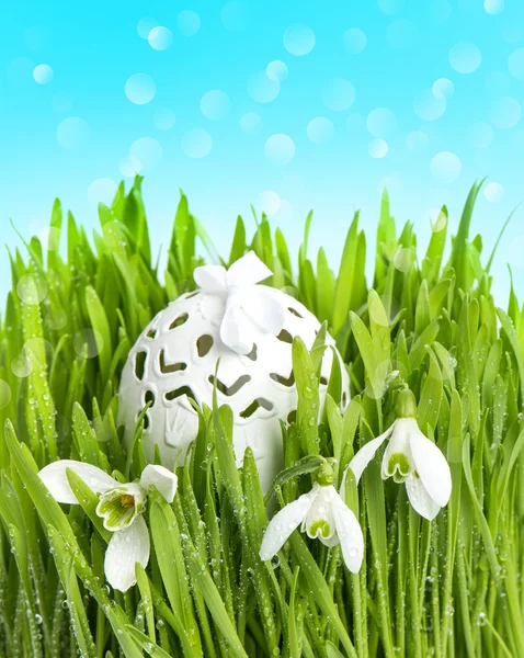 Fiori primaverili e uovo deco in erba verde su blu — Foto Stock