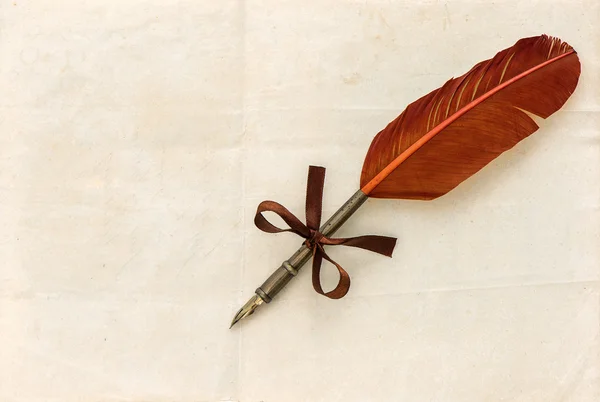 Blank paper page with antique ink feather pen — Stock Photo, Image