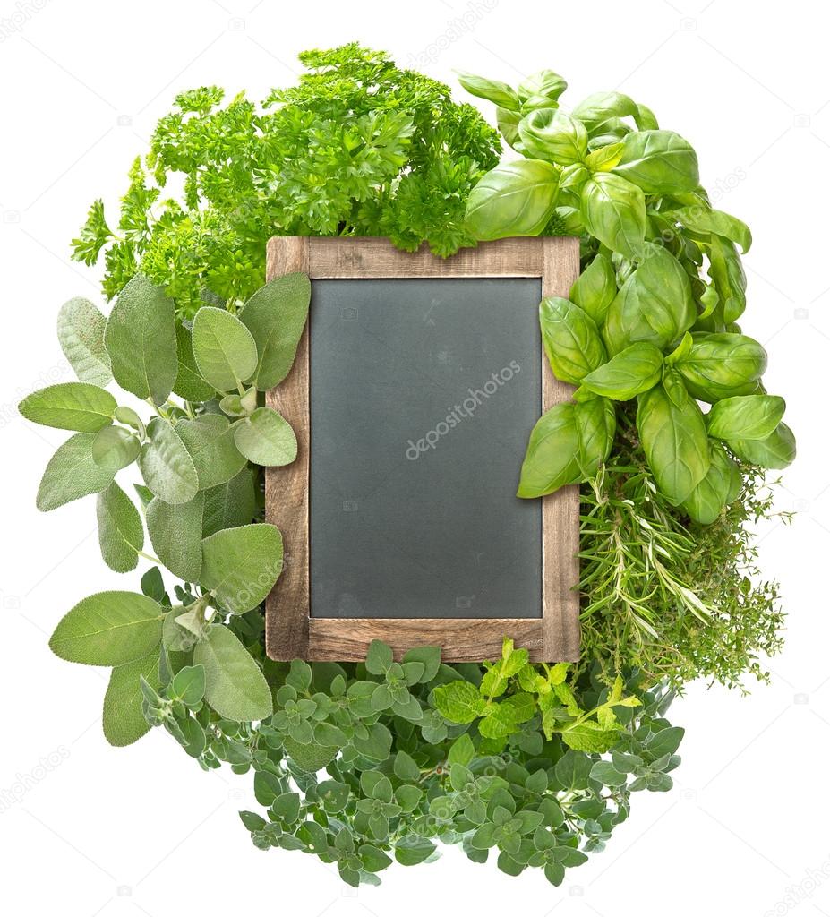 blank blackboard with variety fresh herbs