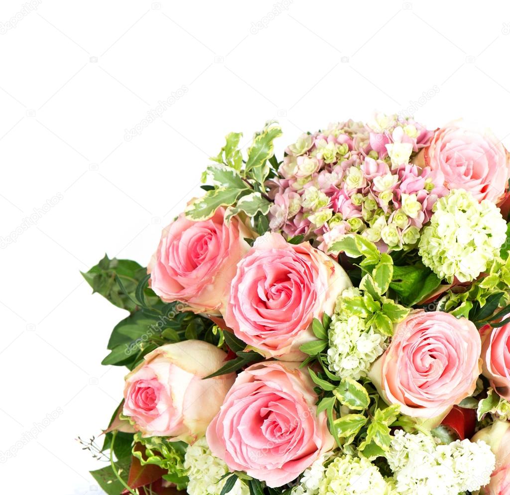 bouquet of pink roses over white background