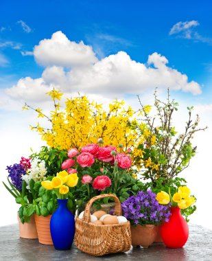 renkli bahar çiçekleri ve Paskalya yumurta dekorasyon