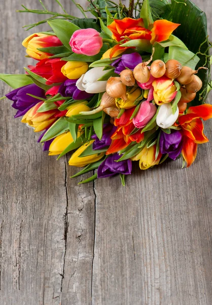 Fresh colorful tulips over wooden background — Stock Photo, Image